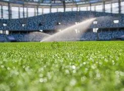 斯特拉斯堡,领跑,巴萨,开云入口官网,开云入口,开云体育,开云代理,开云全站